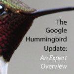 The Google Hummingbird Update: An Expert Overview