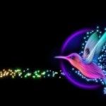 content-strateg-google-hummingbird-commandments