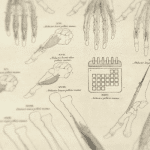 content-calendar-anatomy