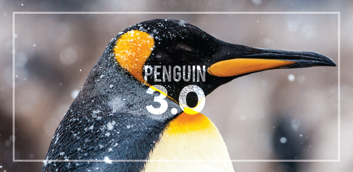 Google Penguin 3.0 Update: What You Need to Know
