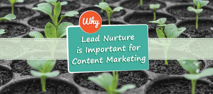 Why Lead Nurture is Important for Content Marketing
