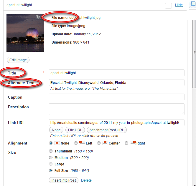 How to use alt text in WordPress