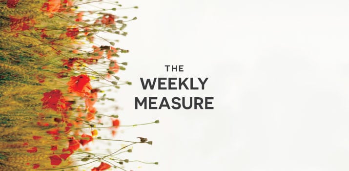 The Weekly Measure: Traffic-Boosting SEO, Social Media ROI & Editorial Planning