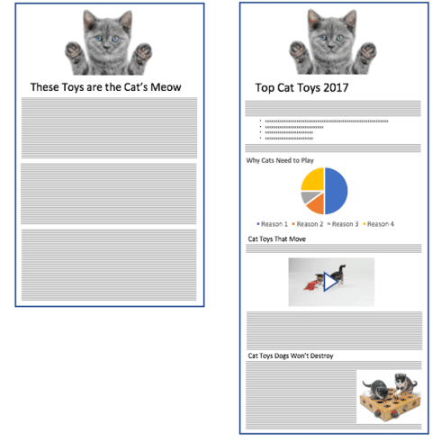 Top Cat Toys in 2017