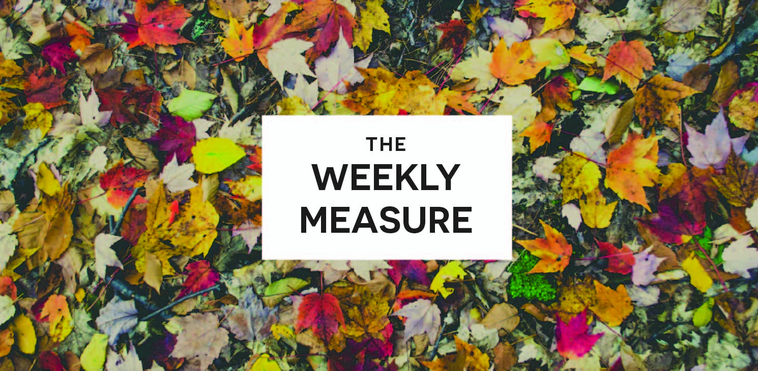 The Weekly Measure: Nightmare of SEO Street, Content Marketing Costumes & Spooky Google News