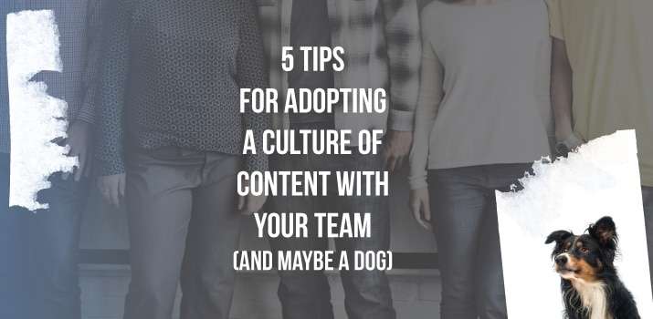 5 Tips for Adopting a Culture of Content with Your Team (And Maybe a Dog)