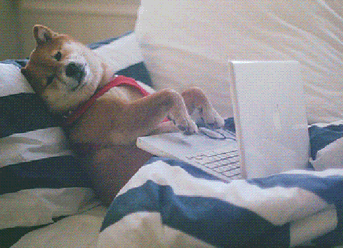 Adopt-a-Dog-Working