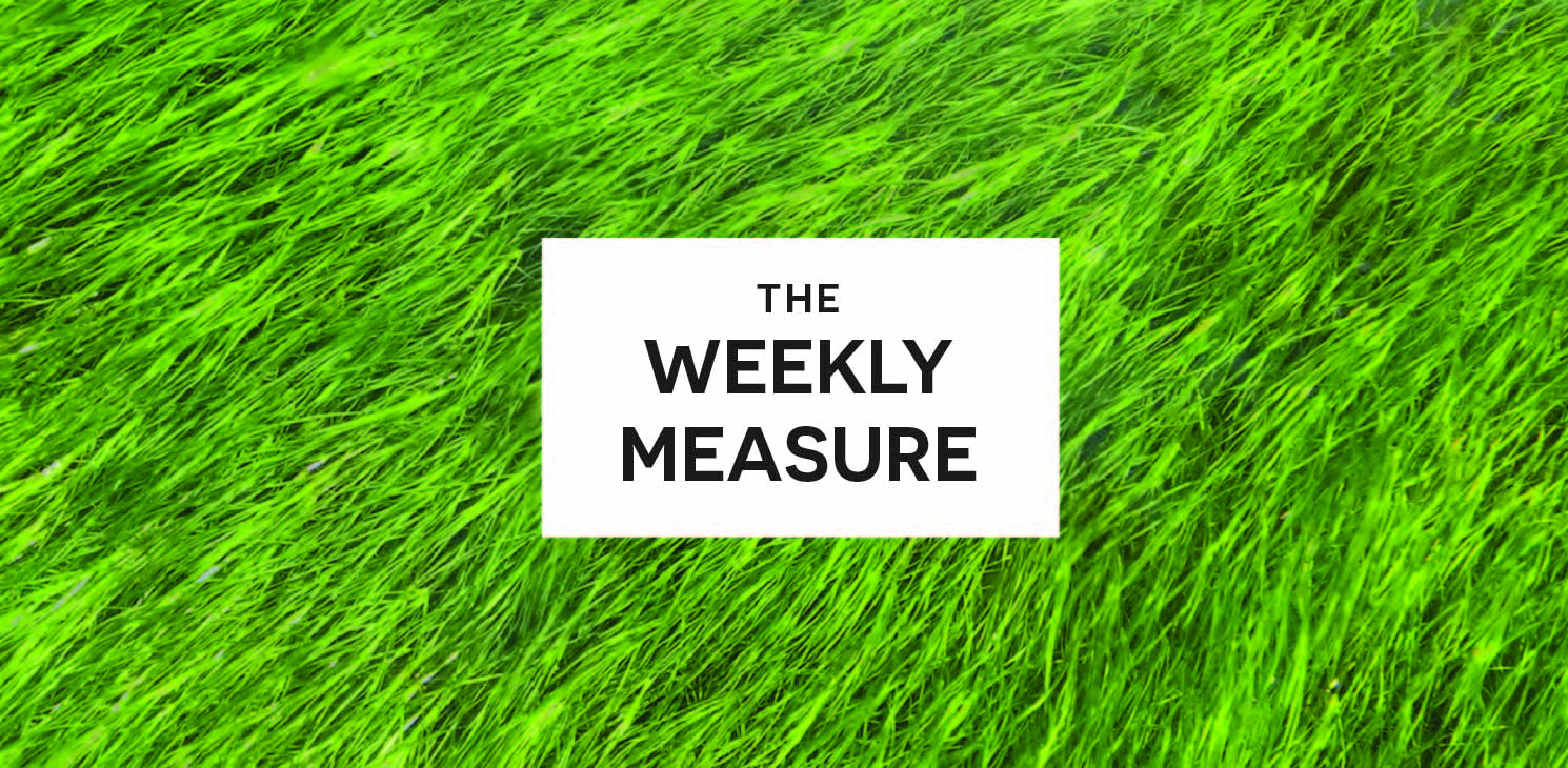 The Weekly Measure: Marketing for Law Firms & Banks, Google Reviews & Inclusive Design