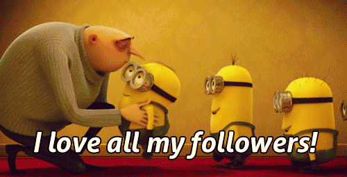 social-twitter-followers
