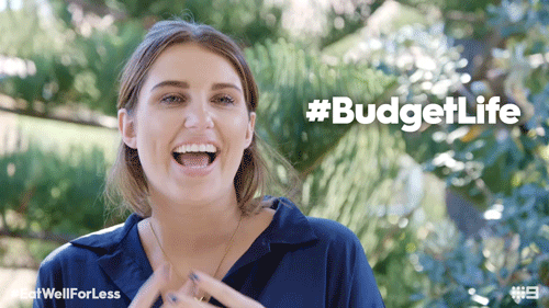 vm-budget-ebook